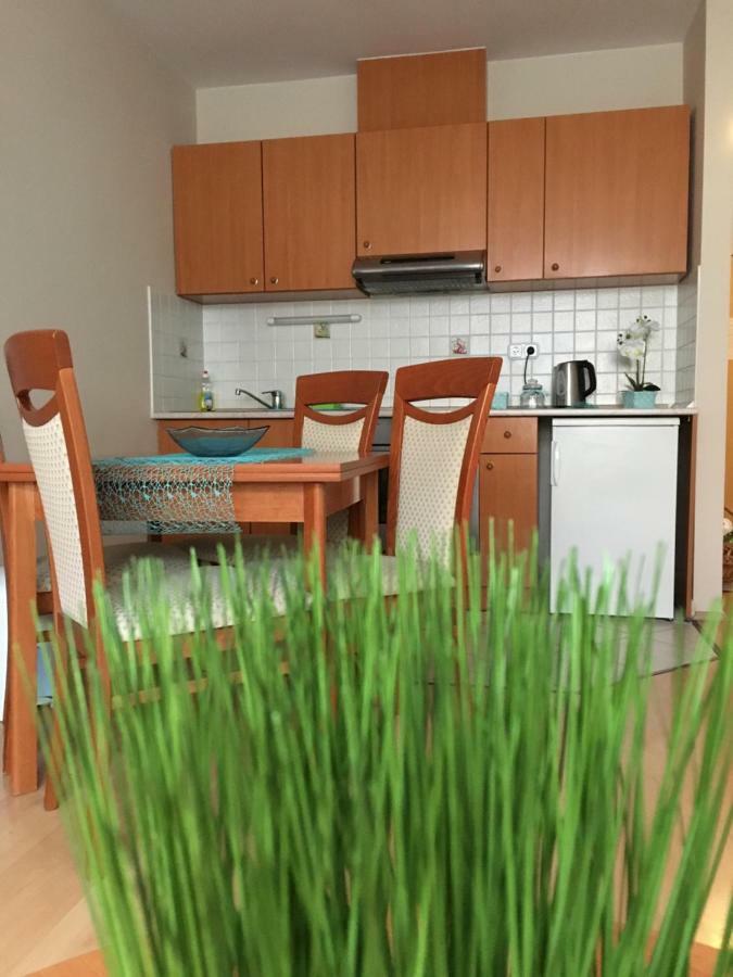 Orchidea Apartman Hegykő Eksteriør billede