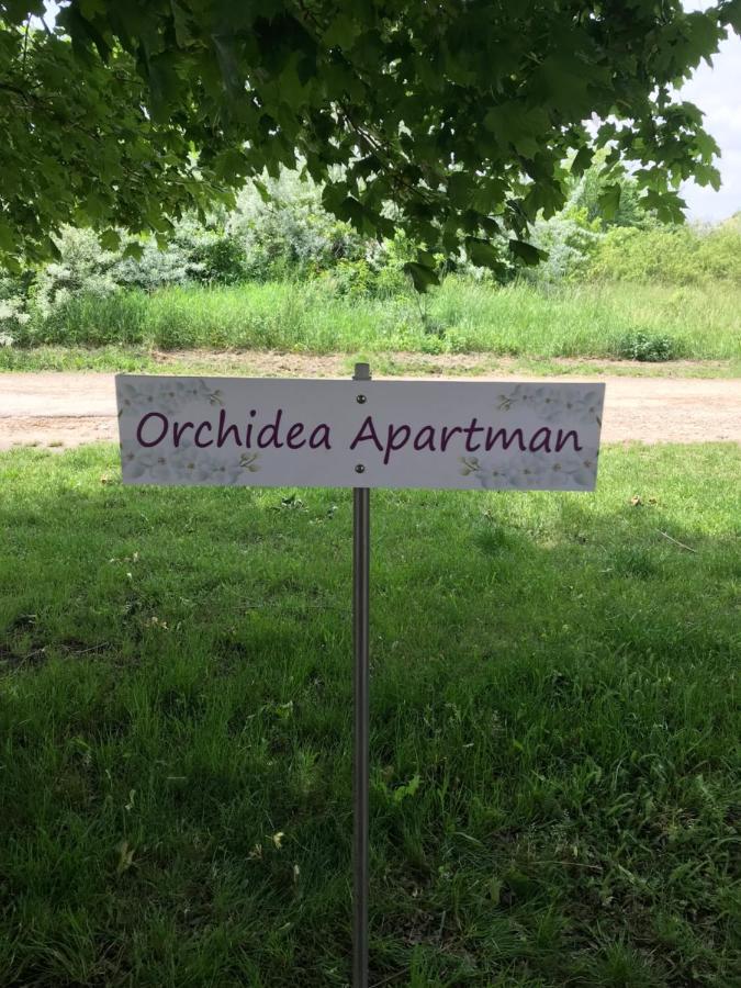 Orchidea Apartman Hegykő Eksteriør billede